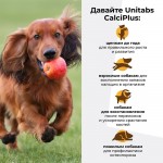Купить Unitabs Кальций Плюс с Q10 для собак 100 таблеток Unitabs в Калиниграде с доставкой (фото 2)