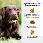 Купить Unitabs Senior Комплекс с Q10 для собак 100 таблеток Unitabs в Калиниграде с доставкой (фото 2)