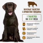 Купить Unitabs Senior Комплекс с Q10 для собак 100 таблеток Unitabs в Калиниграде с доставкой (фото 1)