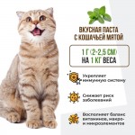 Купить Unitabs Юнитабс Иммуно Кэт паста с Q10 для кошек 120 мл Unitabs в Калиниграде с доставкой (фото 2)