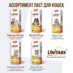 Купить Unitabs Юнитабс Иммуно Кэт паста с Q10 для кошек 120 мл Unitabs в Калиниграде с доставкой (фото 8)