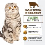 Купить Unitabs Иммуно Кэт с Q10 для кошек 120 таблеток Unitabs в Калиниграде с доставкой (фото 2)