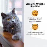 Купить Unitabs Стерил Кэт паста с Q10 для стерилизованных кошек и кастрированных котов 120 мл Unitabs в Калиниграде с доставкой (фото 2)