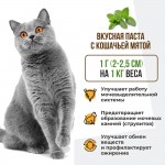 Купить Unitabs Стерил Кэт паста с Q10 для стерилизованных кошек и кастрированных котов 120 мл Unitabs в Калиниграде с доставкой (фото 1)