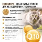 Купить Unitabs Стерил Кэт паста с Q10 для стерилизованных кошек и кастрированных котов 120 мл Unitabs в Калиниграде с доставкой (фото 5)