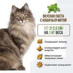 Купить Unitabs Юнитабс Биотин Плюс паста с Q10 для кошек 120 мл Unitabs в Калиниграде с доставкой (фото 1)