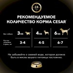 Купить Консервы Cesar для взрослых собак всех пород, с говядиной и кроликом в соусе со шпинатом, 85 г Cesar в Калиниграде с доставкой (фото 5)