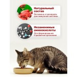 Консервированный корм для кошек Lapka с говядиной в соусе, 85г