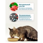 Консервированный корм для кошек Lapka с рыбой в соусе, 85г