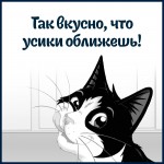 Купить Felix Sensations для кошек, с уткой в желе со шпинатом, 75 г Felix в Калиниграде с доставкой (фото 7)