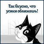Купить Felix Sensations для кошек, с треской в соусе с томатами, 75 г Felix в Калиниграде с доставкой (фото 7)