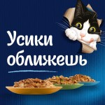 Купить Purina Felix Sensations для кошек в Удивительном соусе, индейка и бекон, 75 г Felix в Калиниграде с доставкой (фото 7)