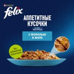 Купить Felix Аппетитные кусочки для взрослых кошек, с форелью в желе, 75 г Felix в Калиниграде с доставкой (фото 4)