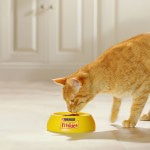 Влажный корм Friskies для взрослых кошек, с курицей в подливе, 50 г