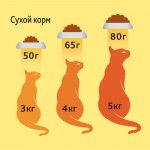 Сухой корм Friskies для взрослых кошек с мясом и полезными овощами, 10 кг