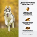 Купить Unitabs Arthro Active добавка для поддержания функции суставов и хрящей у собак, 100 таблеток Unitabs в Калиниграде с доставкой (фото 2)