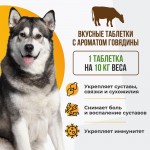 Купить Unitabs Arthro Active добавка для поддержания функции суставов и хрящей у собак, 100 таблеток Unitabs в Калиниграде с доставкой (фото 1)