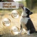 Купить Комплекс витаминов для щенков Unitabs Junior B9, 100 таблеток Unitabs в Калиниграде с доставкой (фото 6)