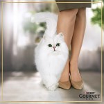 Влажный корм Gourmet Натуральные рецепты для кошек, с курицей на пару и томатами, 85 г