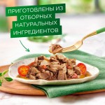 Купить Gourmet Натуральные рецепты для кошек, тушеная говядина с томатами, 75 г Gourmet в Калиниграде с доставкой (фото 10)