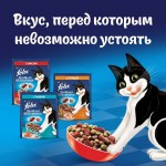 Купить Felix Двойная вкуснятина для домашних кошек, с рыбой, 600 гр Felix в Калиниграде с доставкой (фото 2)