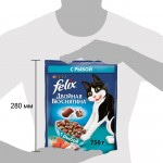 Купить Felix Двойная вкуснятина для домашних кошек, с рыбой, 600 гр Felix в Калиниграде с доставкой (фото 6)