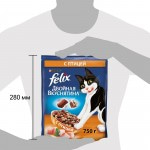 Купить Felix Двойная вкуснятина для домашних кошек, с птицей, 600 гр Felix в Калиниграде с доставкой (фото 5)