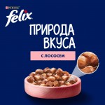 Купить Felix Природа вкуса для взрослых кошек, с лососем в соусе, 75 г Felix в Калиниграде с доставкой (фото 4)