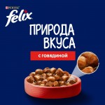 Купить Felix Природа вкуса для взрослых кошек, с говядиной, 75 г Felix в Калиниграде с доставкой (фото 5)