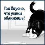 Купить Felix Sensations Супервкус для кошек, со вкусом индейки и ягод, в желе, 75 г Felix в Калиниграде с доставкой (фото 4)