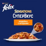 Купить Felix Sensations Супервкус для кошек, со вкусом индейки и ягод, в желе, 75 г Felix в Калиниграде с доставкой (фото 6)