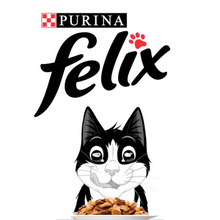 Сухие корма для кошек Felix Purina (Феликс Пурина)