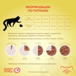 Купить Консервы ENSO кусочки в соусе с курицей для взрослых кошек 85 гр ENSO в Калиниграде с доставкой (фото 7)