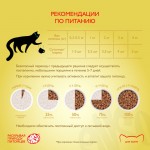Купить Консервы ENSO кусочки в соусе с курицей для котят 85 гр ENSO в Калиниграде с доставкой (фото 7)