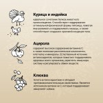 Купить Сухой ультрапремиум корм CRAFTIA NATURA для взрослых собак средних и крупных пород из курицы и индейки 2 кг Craftia в Калиниграде с доставкой (фото 2)