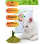 Купить Комкующийся соевый наполнитель для кошачьего туалета Goliaf Premium ТОФУ Зелёный чай, смываемый, 6 л Goliaf в Калиниграде с доставкой (фото 11)