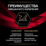 Купить Pro Plan Veterinary Diets DM корм для кошек при диабете, 195 г Pro Plan Veterinary Diets в Калиниграде с доставкой (фото 12)