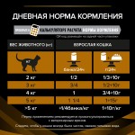 Купить Pro Plan Veterinary Diets NF корм для кошек при патологии почек, 195 г Pro Plan Veterinary Diets в Калиниграде с доставкой (фото 12)