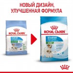 Купить ROYAL CANIN Mini Starter для беременных мелких собак и щенков до 2-х месяцев 1 кг Royal Canin в Калиниграде с доставкой (фото 3)