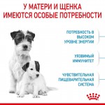 Купить ROYAL CANIN Mini Starter для беременных мелких собак и щенков до 2-х месяцев 1 кг Royal Canin в Калиниграде с доставкой (фото 2)