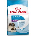 Купить ROYAL CANIN Giant Starter Mother&Babydog, для беременных собак и щенков до 2-х месяцев 14 кг Royal Canin в Калиниграде с доставкой (фото)