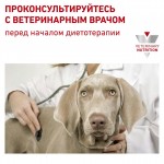 Купить ROYAL CANIN Veterinary Diet Diabetic Canine DS 37 диета для собак при сахарном диабете 1,5 кг Royal Canin в Калиниграде с доставкой (фото 4)