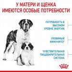 Купить ROYAL CANIN Giant Starter Mother&Babydog, для беременных собак и щенков до 2-х месяцев 14 кг Royal Canin в Калиниграде с доставкой (фото 2)
