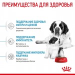 Купить ROYAL CANIN Giant Starter Mother&Babydog, для беременных собак и щенков до 2-х месяцев 4 кг Royal Canin в Калиниграде с доставкой (фото 1)
