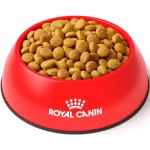 Купить Royal Canin Urinary S/O Moderate Calorie диета для взрослых кошек контроль веса, профилактика МКБ 1,5 кг Royal Canin в Калиниграде с доставкой (фото 1)