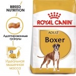 Сухой корм Royal Canin Boxer Adult для взрослых и стареющих собак породы боксер в возрасте 15 месяцев и старше 12 кг