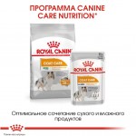 Купить Royal Canin Mini Coat Care для взрослых и стареющих собак мелких размеров с тусклой и сухой шерстью 1 кг Royal Canin в Калиниграде с доставкой (фото 3)