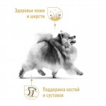 Купить Royal Canin Pomeranian Adult, для собак породы померанский шпиц, от 8 месяцев, (в паштете) 85 г Royal Canin в Калиниграде с доставкой (фото 4)