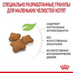 Купить Royal Canin Kitten Sterilised для стерилизованных котят 2 кг Royal Canin в Калиниграде с доставкой (фото 7)