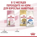 Купить Royal Canin Kitten Sterilised для стерилизованных котят 3,5 кг Royal Canin в Калиниграде с доставкой (фото 6)